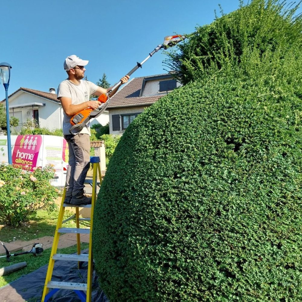 Un jardinier Home Alliance taille une haie en boule